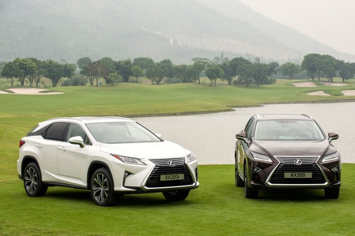 lexus trieu hoi xe