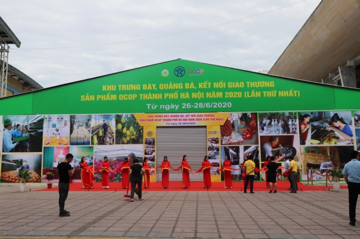 ocop hanoi 2
