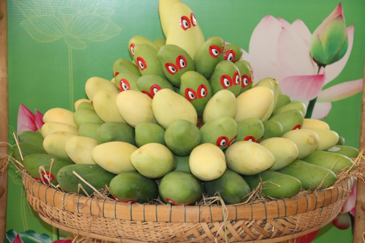 xoai-viet-nam-hinh4-4-1110310