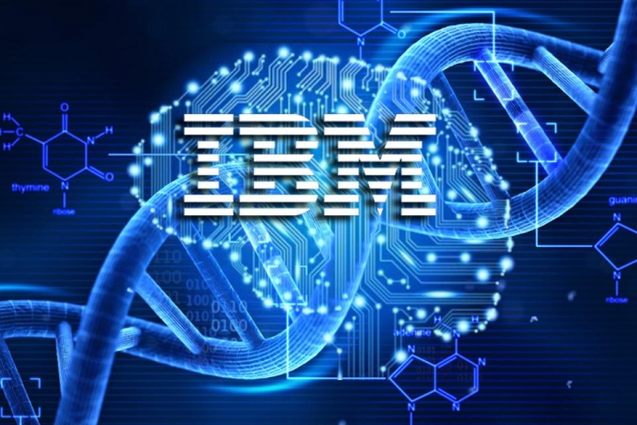 ibm-brasin
