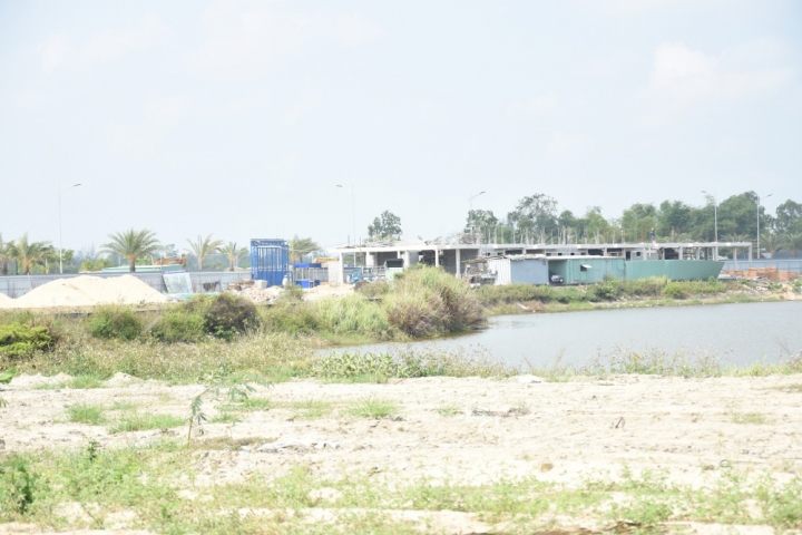 Dana Home Land 1