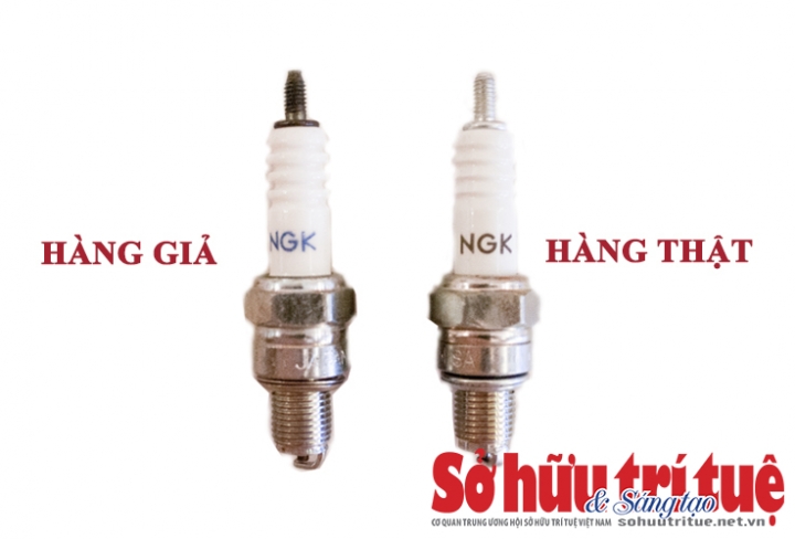 HANG-THAT-GIA