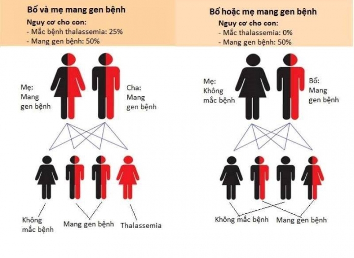 buoc tien y hoc viet nam thanh cong khi loai tru benh di chuyen trong thu tinh ong nghiem a