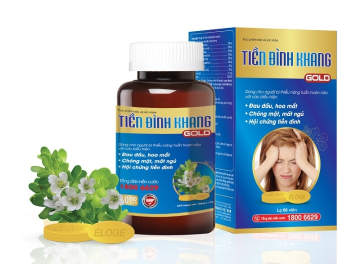 tien-dinh-khang-04
