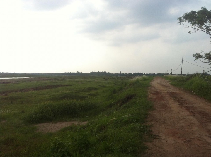 aa