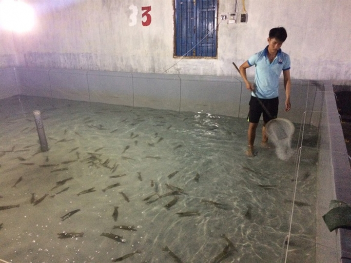tom giong ninh thuan