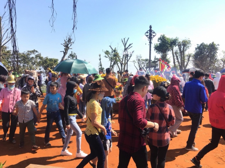 thanh hoa 6