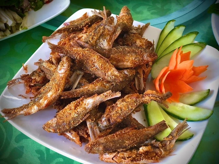 ca thinh tu da