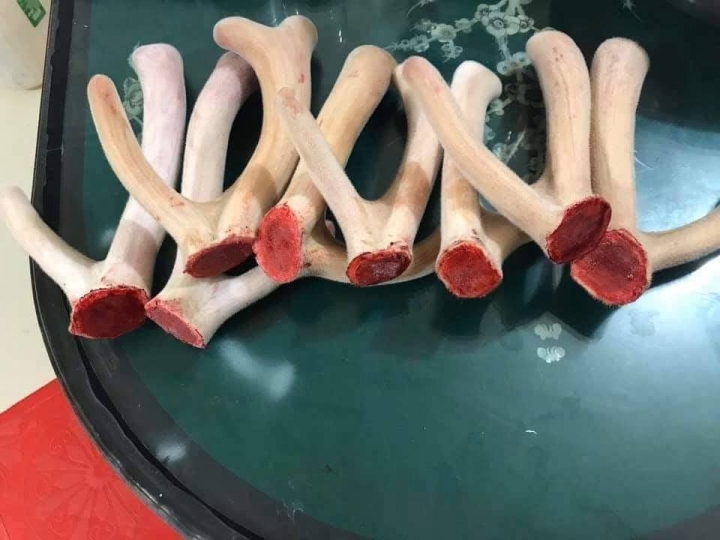 86298191_2465967590334581_433289537909686272_n