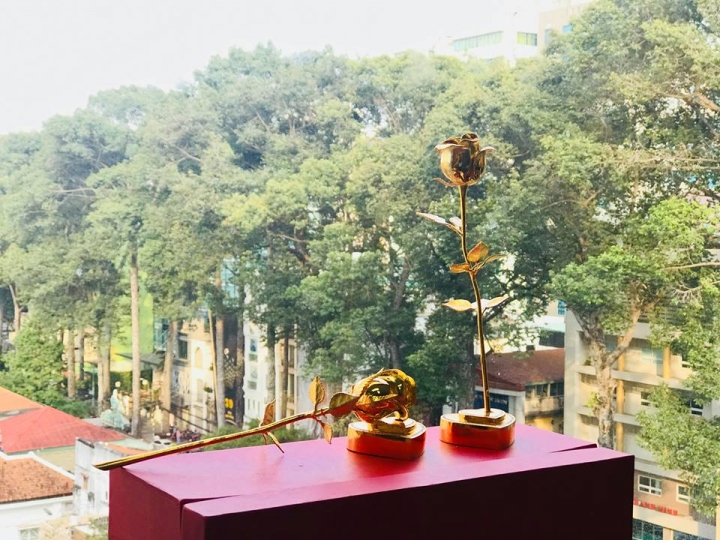 hoa hong ma vang 2