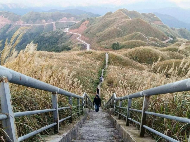 binh lieu 1
