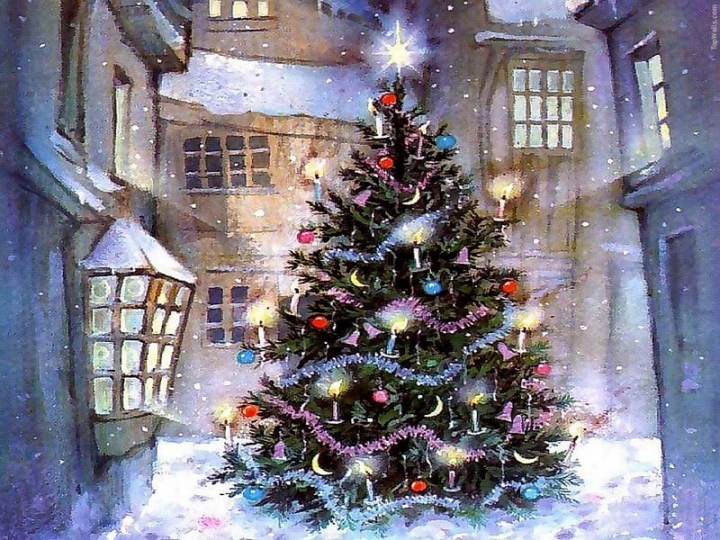do choi noel