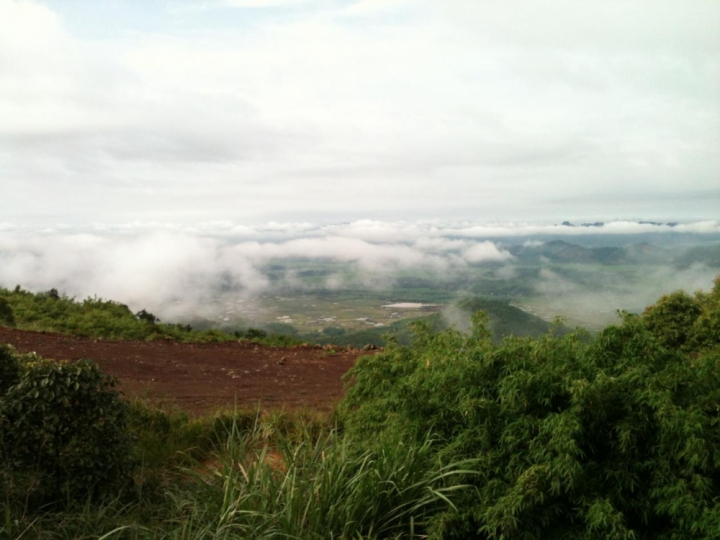 thanh hoa 8