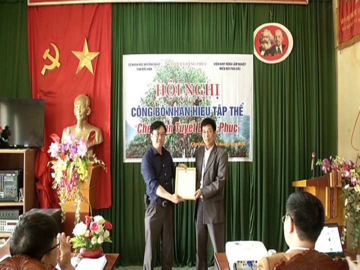 che shan tuyet bang phuc