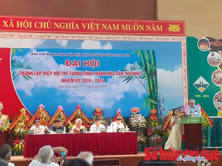 hiep hoi tre luong 2
