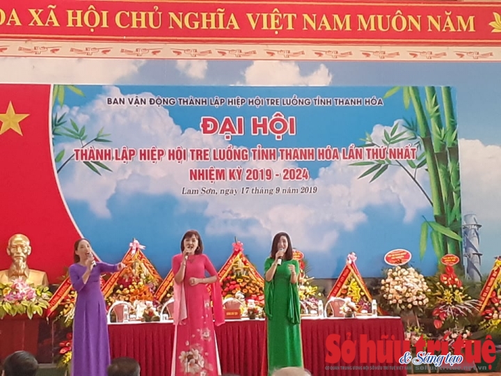 hiep hoi tre luong 8