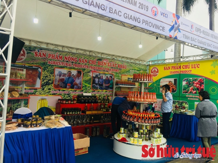 trien lam viet nga 7