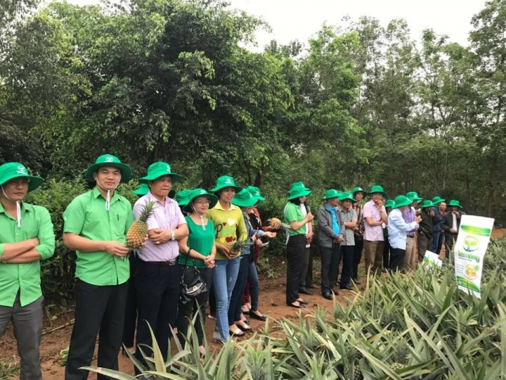 tien nong 2