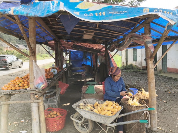 ngo nep thung khe