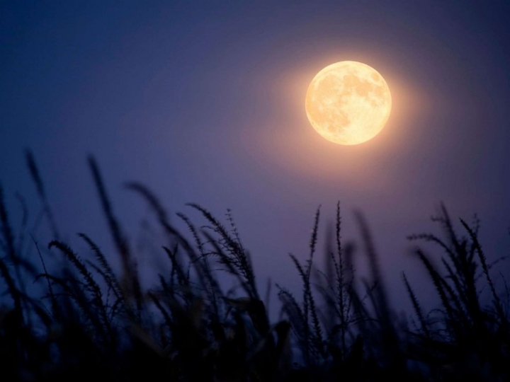 harvest-moon-1-gty-er-190910_hpMain_4x3_992