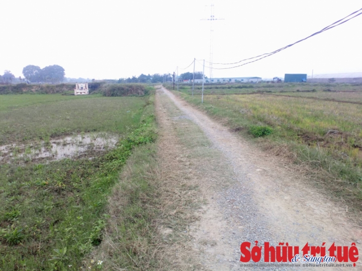 3.. TamHung