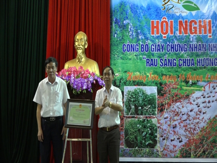 rau sang chua huong 1
