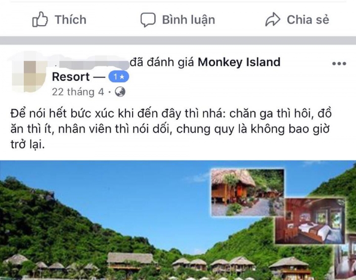monkey 2