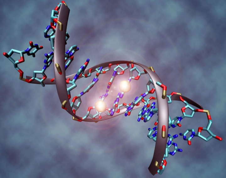 dna