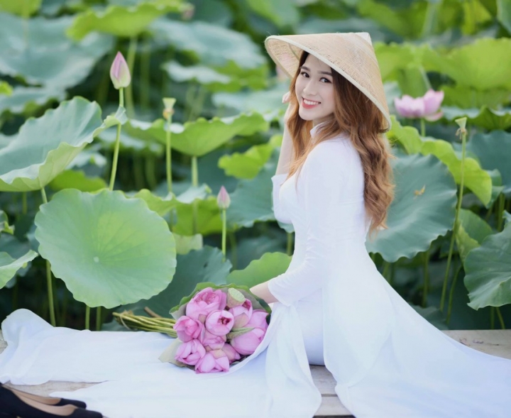 hoa hau vn3