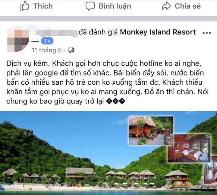 monkey 4