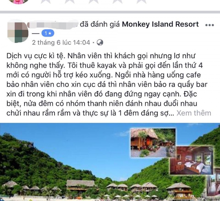 monkey 5
