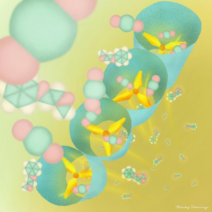 Porous-Coordination-Polymer