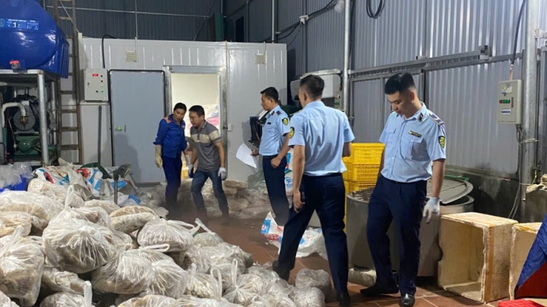 Ngăn chặn kịp thời gần 11 tấn thịt bò, nội tạng 'chui' ở Hà Nội