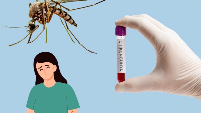 Bệnh Chikungunya lan rộng, Bộ Y tế phát thông báo khẩn tới các địa phương